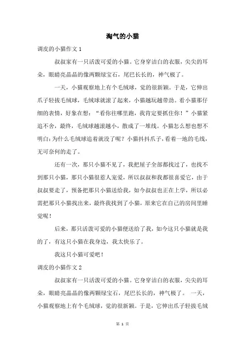 淘气的小猫