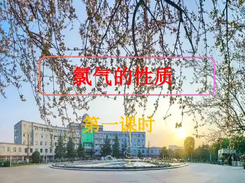 第二章第二节第课时《氯气的性质》ppt上学期高一化学人教版必修第一册