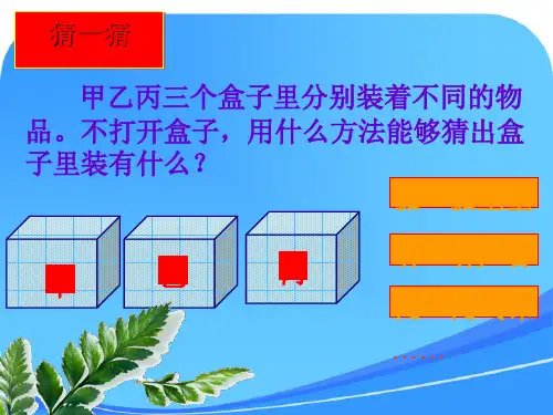 苏教版六年级科学《地球的内部》课件