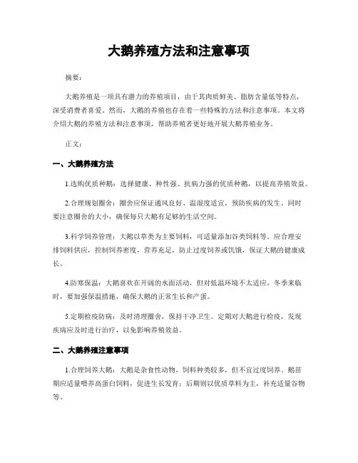 大鹅养殖方法和注意事项