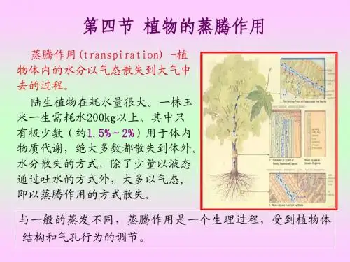 第二章 植物的水分生理(2)