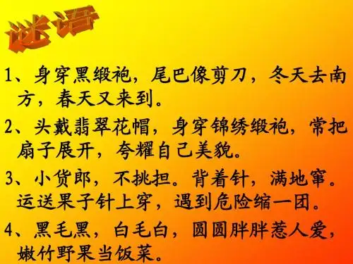 给动物设计名片.ppt不得抄袭只能学习