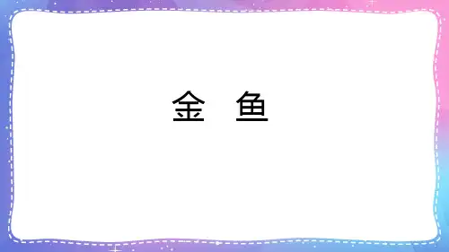 人教鄂教版小学科学一上-【2.4 金鱼 课件(62张ppt)】