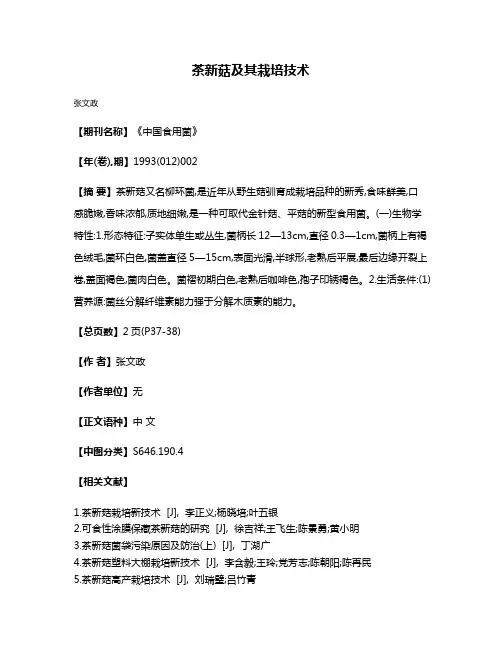 茶新菇及其栽培技术
