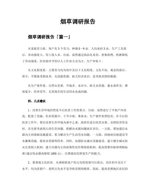 烟草调研报告