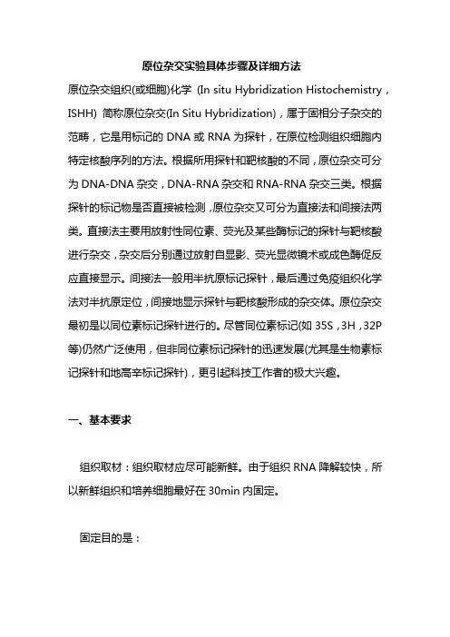原位杂交实验具体步骤及详细方法
