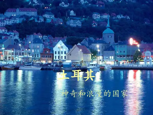 土耳其