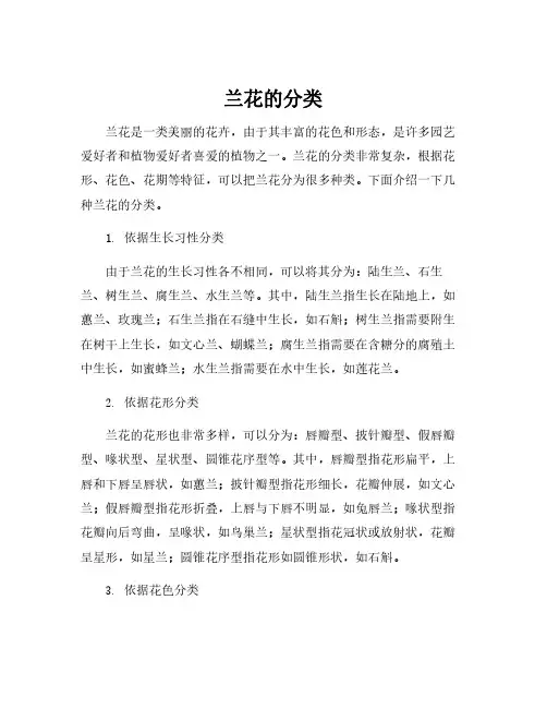 兰花的分类