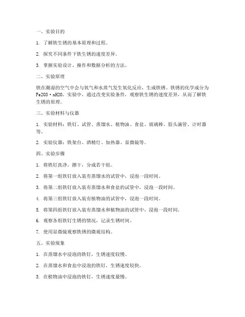 铁生锈过程实验报告