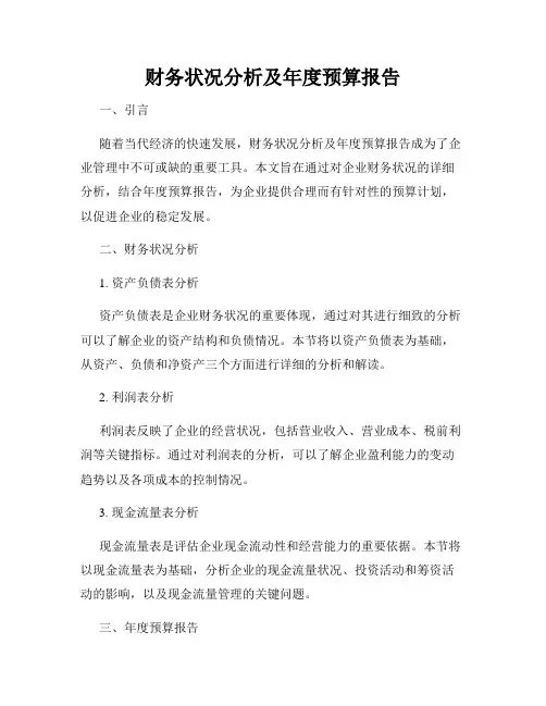 财务状况分析及年度预算报告