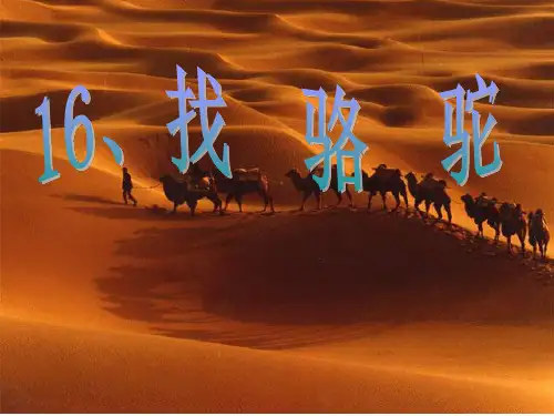 16《找骆驼》.PPT课件
