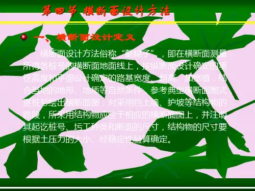 第四章第四节横断面设计方法ppt课件
