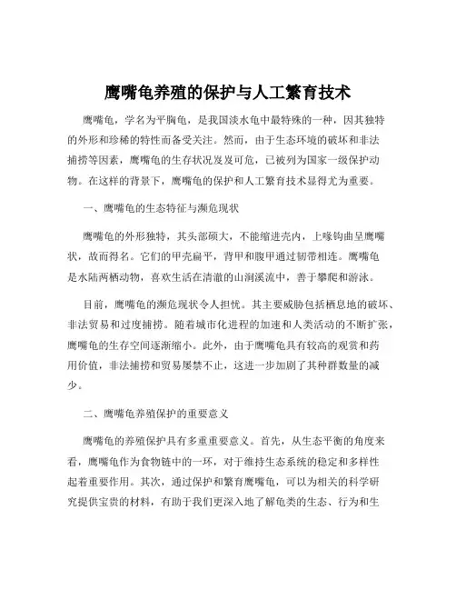 鹰嘴龟养殖的保护与人工繁育技术