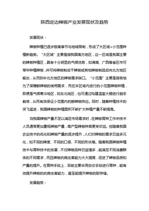 陕西定边辣椒产业发展现状及趋势