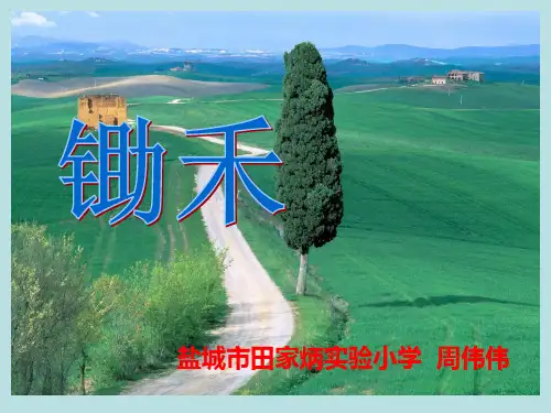古诗两首(锄禾)