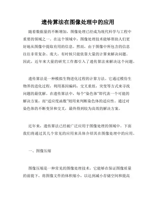 遗传算法在图像处理中的应用