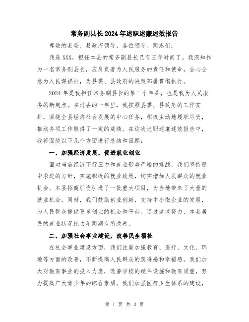 常务副县长2024年述职述廉述效报告