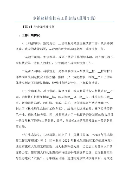 乡镇级精准扶贫工作总结(通用3篇)