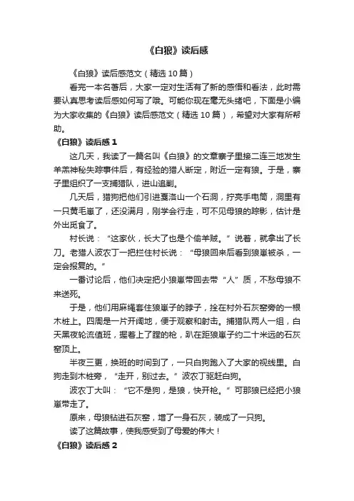 《白狼》读后感范文（精选10篇）
