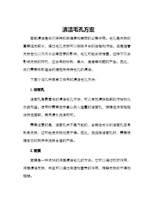 清洁毛孔方案