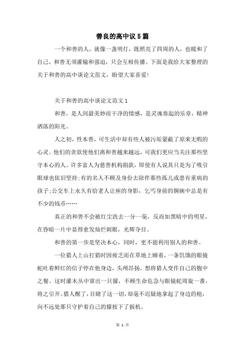 善良的高中议5篇