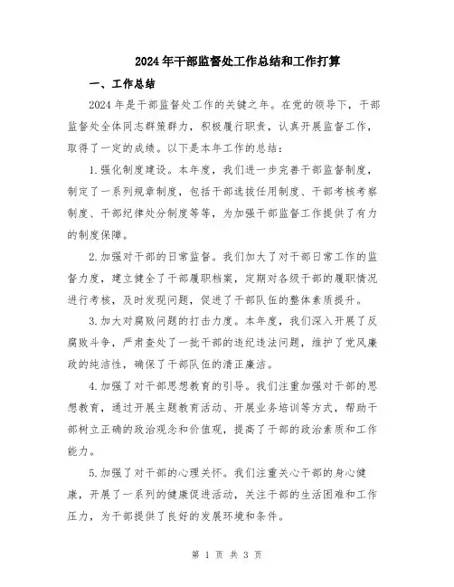 2024年干部监督处工作总结和工作打算