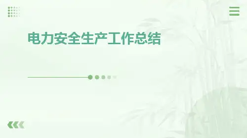 电力安全生产工作总结PPT