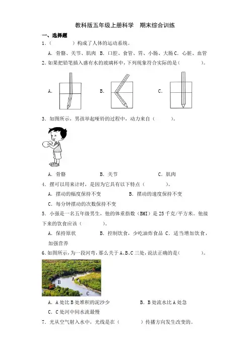 教科版科学五年级上册期末综合训练(含答案)