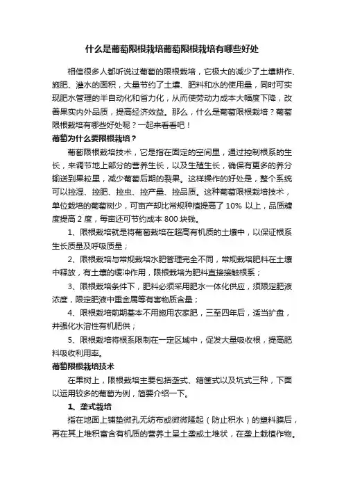 什么是葡萄限根栽培葡萄限根栽培有哪些好处