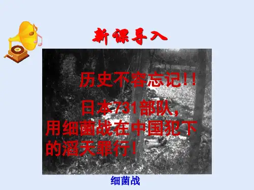 人教版八年级生物 上册第五单元 第四章 第二节 细菌 课件