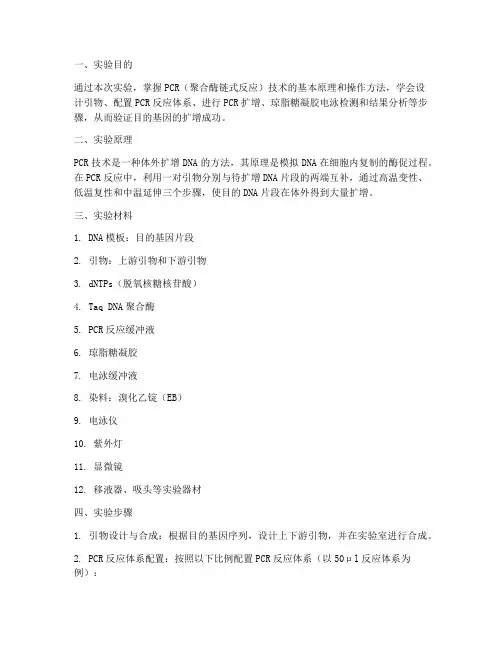 基因学相关实验报告