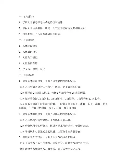 人体静态实验报告