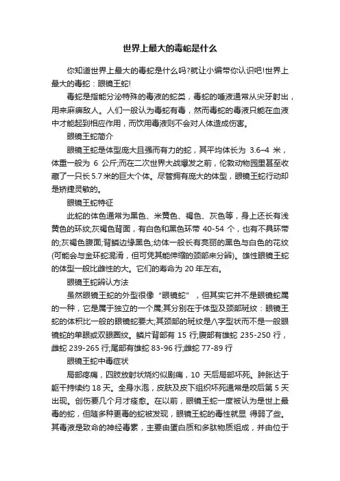 世界上最大的毒蛇是什么