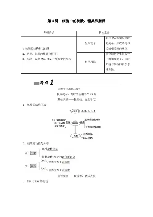 2020高考生物一轮总复习第1单元第4讲细胞中的核酸、糖类和脂质教案
