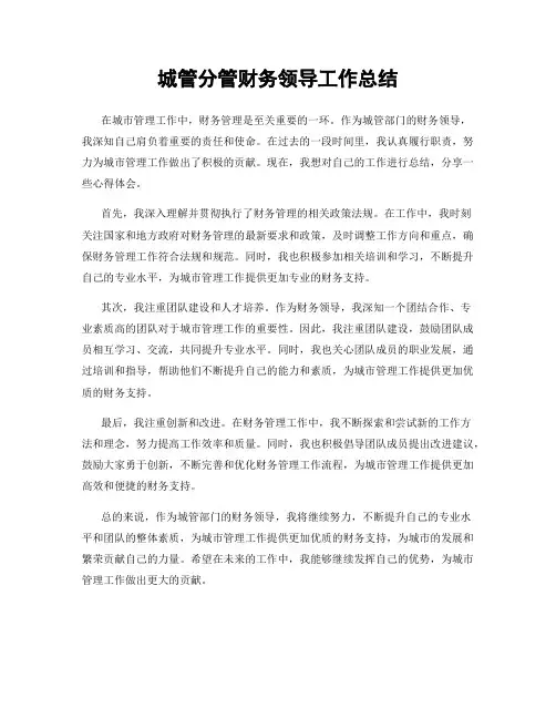 城管分管财务领导工作总结