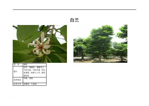 华南园林植物汇总表