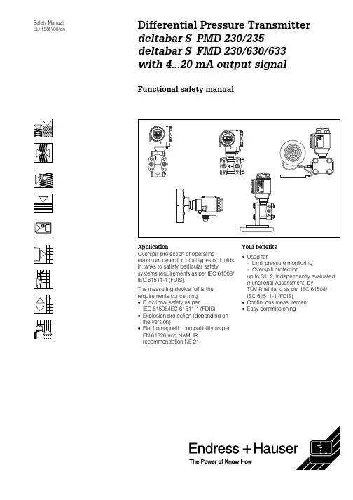 Endress+Hauser Deltabar S 2 安全手册说明书