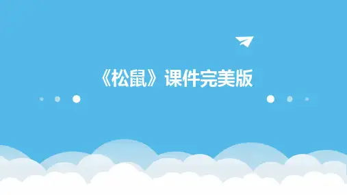 《松鼠》课件完美版