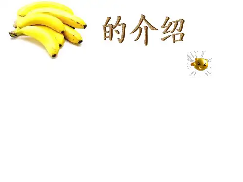 关于香蕉的课件PPT资料16页