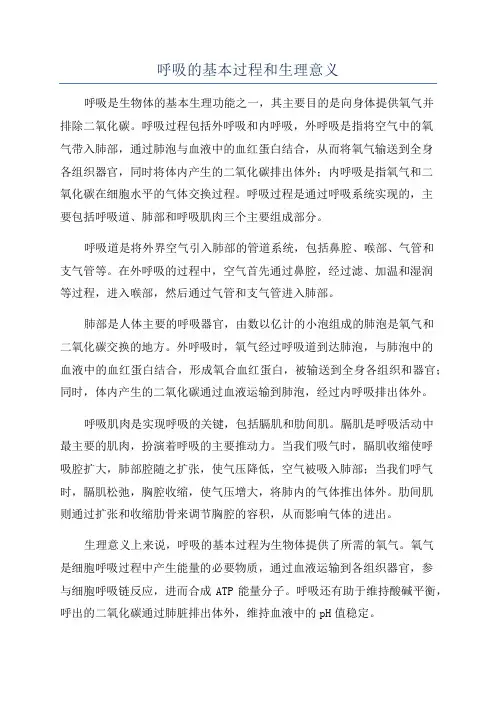 呼吸的基本过程和生理意义