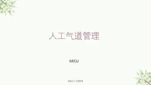 高级人工气道管理课件