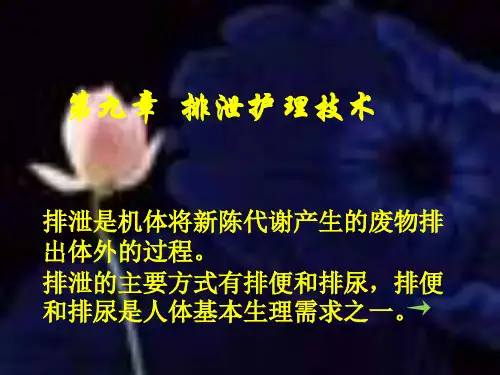 排尿护理