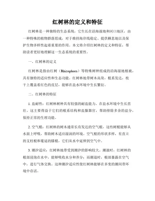 红树林的定义和特征