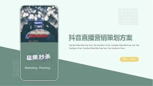 典雅青抖音直播营销策划方案PPT