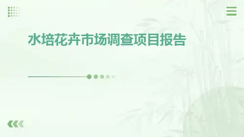 水培花卉市场调查项目报告