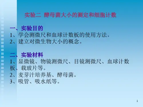 酵母菌大小的测定及细胞计数实验目的学会测ppt课件
