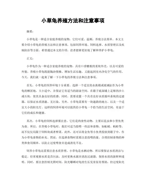小草龟养殖方法和注意事项