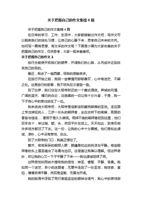 关于把握自己的作文集锦4篇