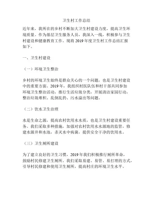 卫生村工作总结