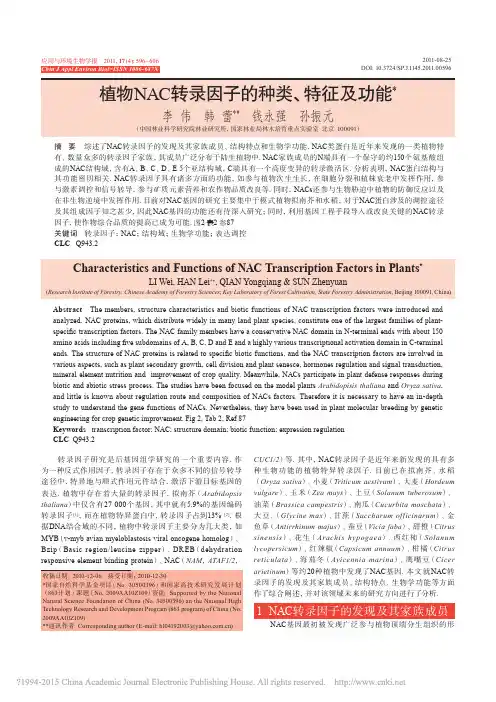 植物NAC转录因子的种类_特征及功能